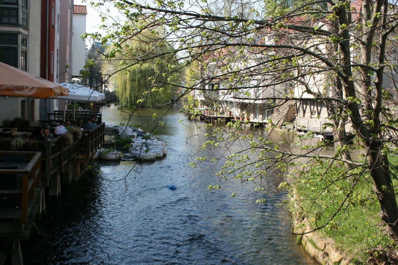 Am Puls Der Altstadt Erfurt Eksteriør bilde